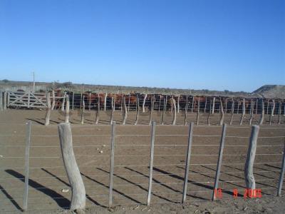 La Pampa, Cordoba 00001, Argentinien