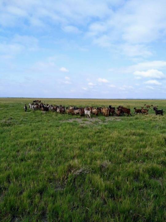 . ., Algarrobo Del Águila, La Pampa 00001, Argentina