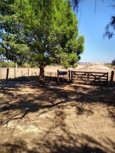 . ., Algarrobo Del Águila, La Pampa 00001, Argentina