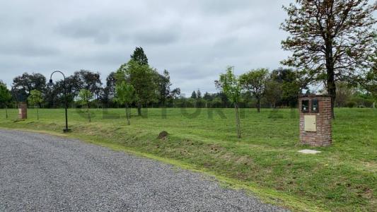 EL CAMPO- FINCAS EXCLUSIVAS CARDALES S/N, Campana, GBA Norte 00001, Argentina
