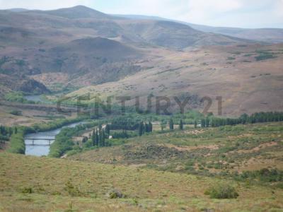 Ruta provincial 40 40 , Aluminé, Neuquén 8345, Argentine