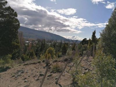 Los Riscos s/n, San Martín De Los Andes, 内乌肯 00001, 阿根廷