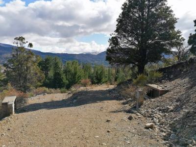 Los Riscos s/n, San Martín De Los Andes, 内乌肯 00001, 阿根廷