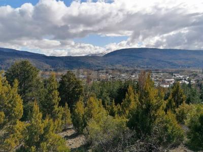 Los Riscos s/n, San Martín De Los Andes, 内乌肯 00001, 阿根廷