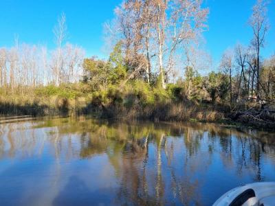 Arroyo Toro 970, Campana, GBA Norte 00001, 阿根廷