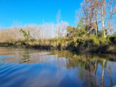 Arroyo Toro 970, Campana, GBA Norte 00001, 阿根廷