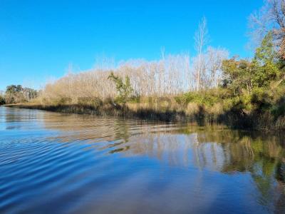 Arroyo Toro 970, Campana, GBA Norte 00001, 阿根廷