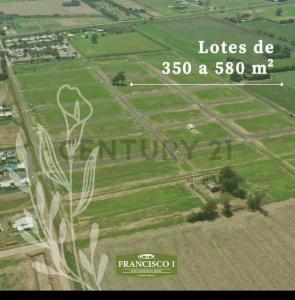 Rivadavia S/N, Arroyo Seco, Santa Fe 00001, Argentina