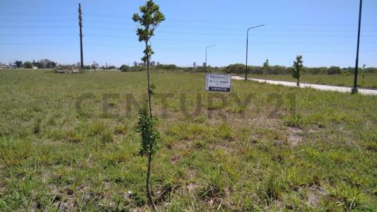 Grierson 700, Rafaela, Santa Fe 00001, Argentinien