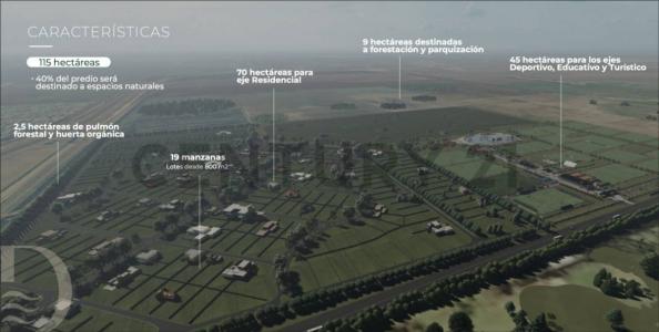 Miguel Galindo 100, Funes, 圣达菲 00001, 阿根廷