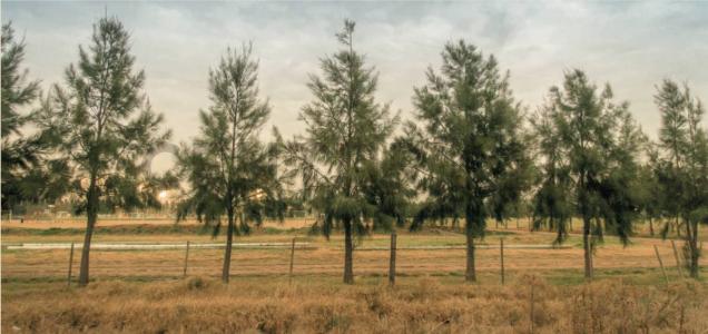 Miguel Galindo 100, Funes, 圣达菲 00001, 阿根廷