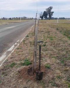 Rivadavia 0, Arroyo Seco, Santa Fe 00001, Argentina