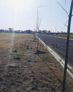 Rivadavia 0, Arroyo Seco, Santa Fe 00001, Argentina