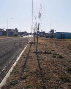 Rivadavia 0, Arroyo Seco, Santa Fe 00001, Argentina