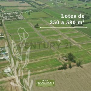 Rivadavia 0, Arroyo Seco, Santa Fe 00001, Argentina