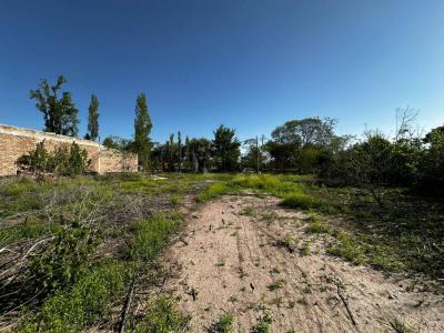 Matheu sn, Chacras De Coria, Mendoza 00001, Argentine