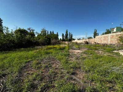 Matheu sn, Chacras De Coria, Mendoza 00001, Argentine