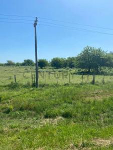 ruta 2 Km 88 S/N, Brandsen, GBA Sur 00001, Arjantin