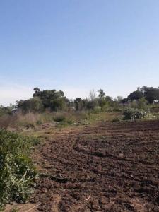 tomas saley S/N, Merlo, GBA Oeste 00001, Argentina