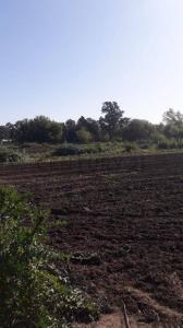 tomas saley S/N, Merlo, GBA Oeste 00001, Argentina