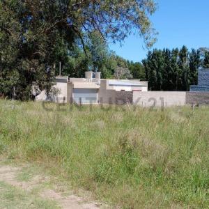 23 S/N, Necochea, Buenos Aires Costa Atlántica 00001, Argentina