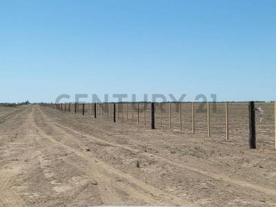  , Laboulaye, Cordoba 00001, Argentina