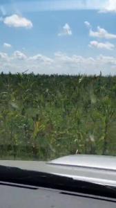 , Laboulaye, Cordoba 00001, Argentina
