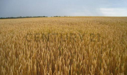  , Villa María, Cordoba 00001, Argentina