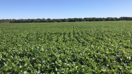 RIO PRIMERO  S/N, Río Primero, Cordoba 00001, Argentina