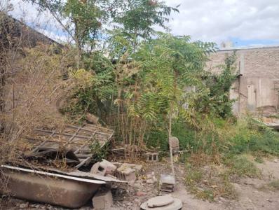 Patricias Argentinas 464, Maipú, 门多萨 00001, 阿根廷