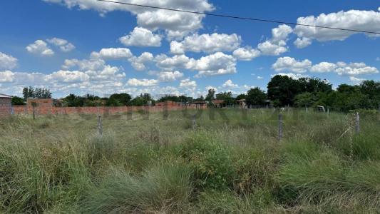 Despensa Eli , Pilar, Ñeembucú 00001, Paraguay