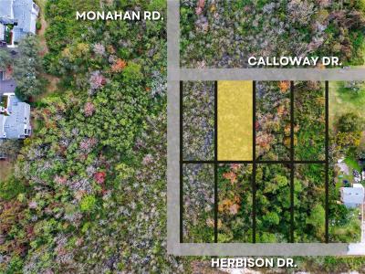 2207 Calloway Dr, Orlando, Florida 32810, Stati Uniti