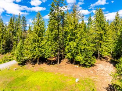 Lot S27 White Cloud Drive, Sandpoint, 爱达荷州 83864, 美国