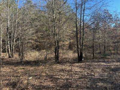 000 Cox Road, Marshall, Texas 76672
