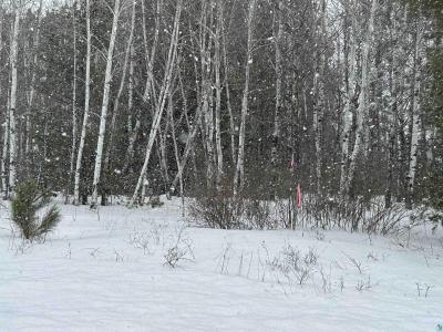 Lot 4 North Shore Dr, Iron River, Wisconsin 54847, USA
