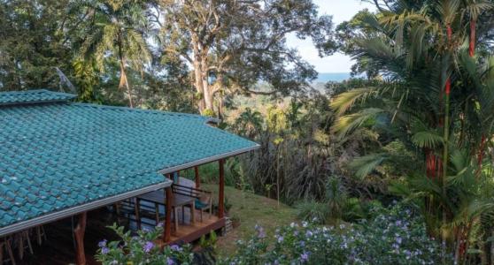 Calle Bordón Cahuita Talamanca, Limón 70403, 哥斯达黎加