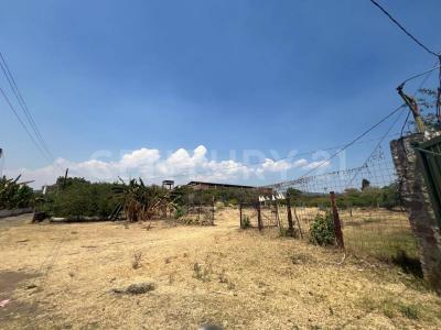 Yecapixtla, 모렐로스 62820, 멕시코