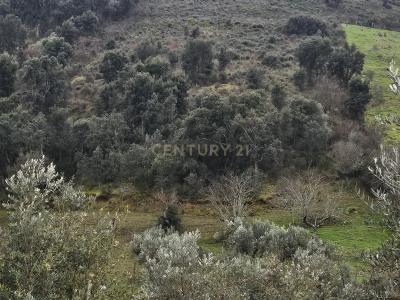 Vila Nova De Foz Côa, 瓜達區 5150-000, 葡萄牙