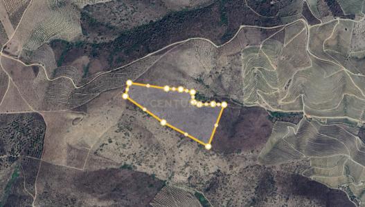 Vila Nova De Foz Côa, 瓜達區 5150-000, 葡萄牙