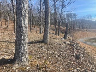 Lot 17 High Summit Drive, Talking Rock, جورجيا 30175, الولايات المتحدة
