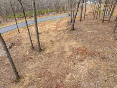 Lot 17 High Summit Drive, Talking Rock, Georgia 30175, USA
