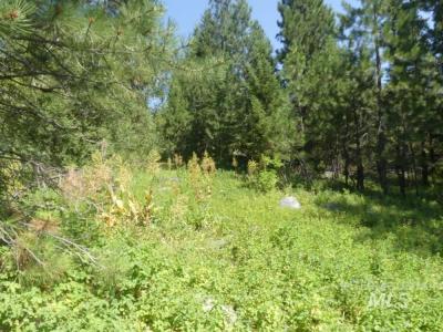 1625 Lakeridge Drive, McCall, Idaho 83638, USA