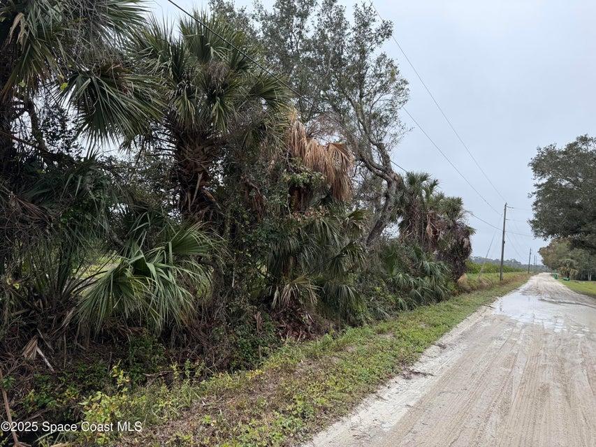 000 Mangrove Street, Mims, Flórida 32754, Estados Unidos