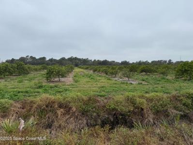 000 Mangrove Street, Mims, Flórida 32754, Estados Unidos