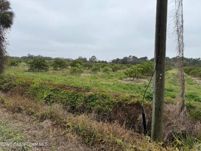 000 Mangrove Street, Mims, Flórida 32754, Estados Unidos