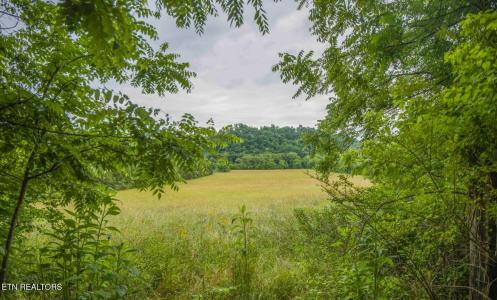 9529 Pedigo Rd, Powell, Tennessee 37849, Estados Unidos