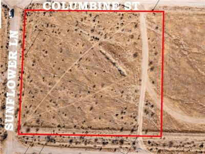 0 Columbine Street, Oro Grande, California 92368, Stati Uniti