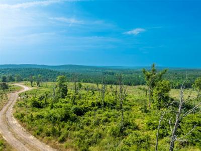 36 Hickory Hull Trail, Other, 俄克拉荷马州 74728, 美国