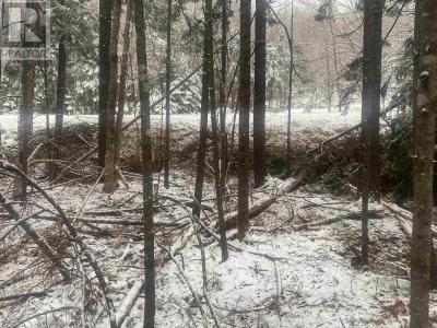 LOT 9 HIGHWAY 357, Musquodoboit Harbour, مقاطعة نفوفا سكوشيا B0J 2L0, كندا