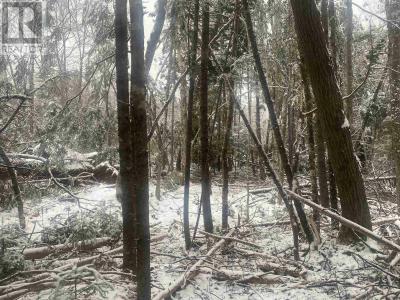 LOT 9 HIGHWAY 357, Musquodoboit Harbour, مقاطعة نفوفا سكوشيا B0J 2L0, كندا